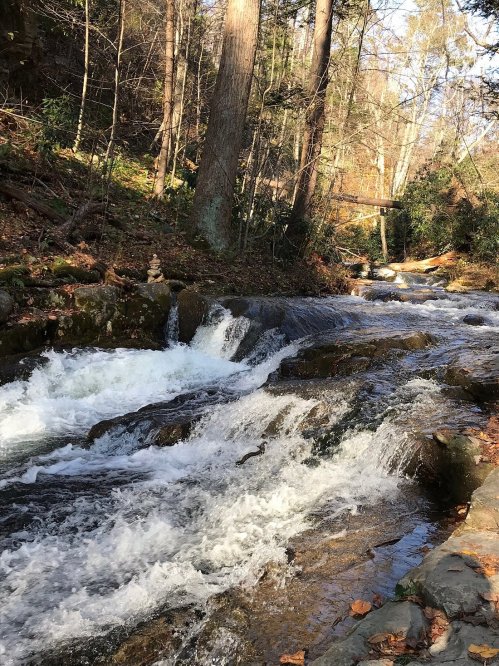 A flowing stream cascades over rocks, surrounded by trees and autumn foliage in a serene forest setting.