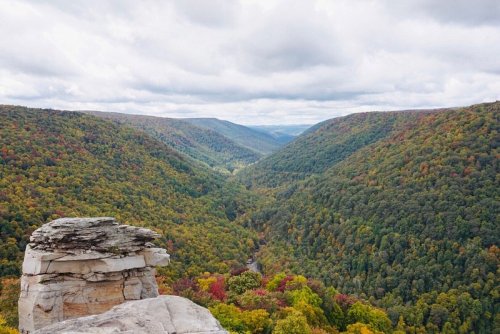 A scenic view of a lush, green valley surrounded by hills, with colorful autumn foliage under a cloudy sky.