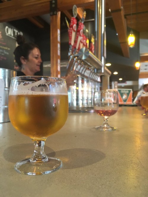 A bar scene featuring two glasses of beer on a countertop, with a bartender pouring drinks in the background.