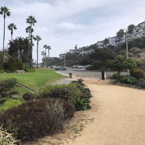 A scenic pathway lined with palm trees and greenery, leading towards a beachside road and residential buildings.