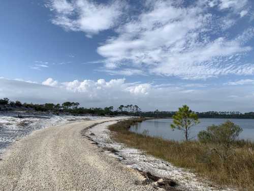 Pine Beach Trail: A Sandy Trail In Alabama With A Waterfront View