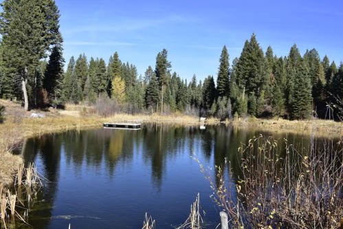 A serene pond surrounded by tall trees and golden grasses under a clear blue sky.