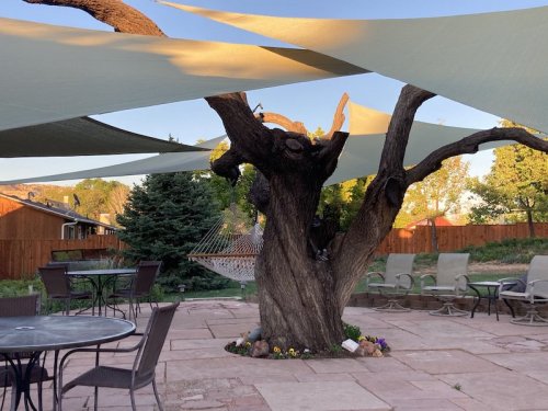 A large tree with shade sails above, surrounded by patio furniture and a hammock in a landscaped yard.