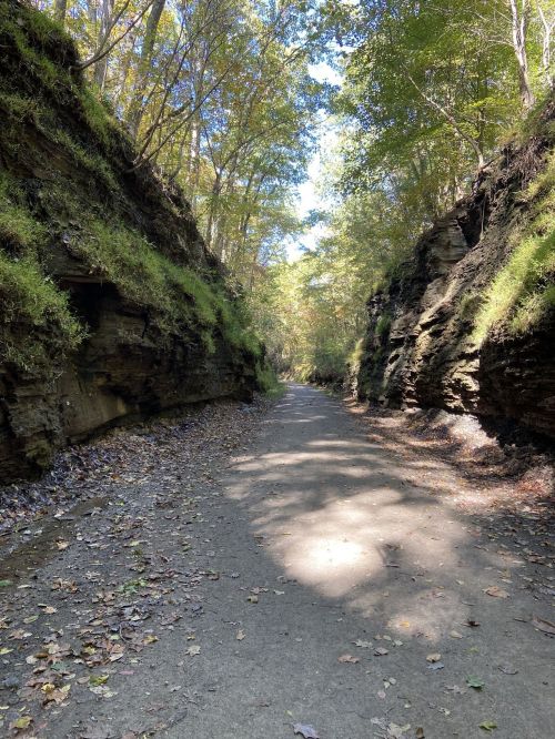 A narrow path surrounded by tall, rocky cliffs and lush greenery under a clear blue sky.