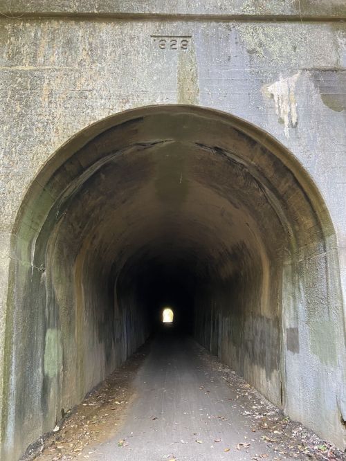 A dark tunnel with a curved arch, leading to a bright light at the far end, surrounded by weathered stone walls.