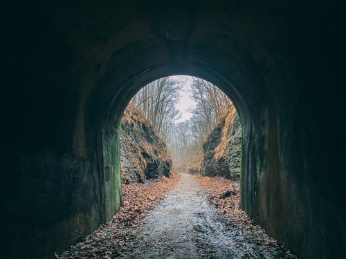 A dark tunnel opening leads to a misty path surrounded by trees and fallen leaves.