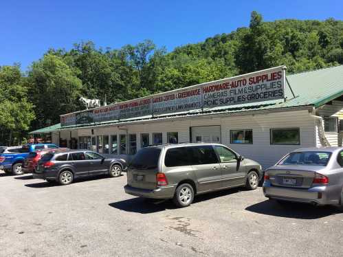 A small store with a green roof, surrounded by trees, featuring a parking lot with several cars parked outside.