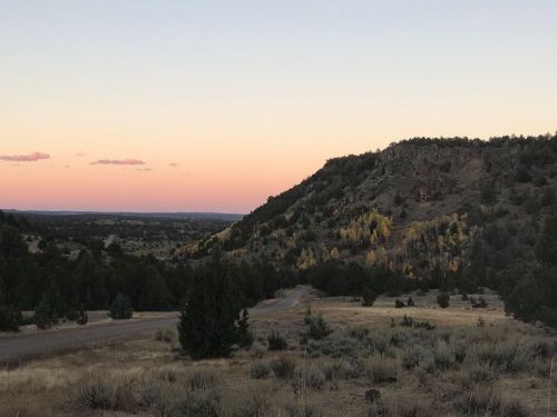A serene landscape at dusk, featuring rolling hills, trees, and a soft pastel sky.