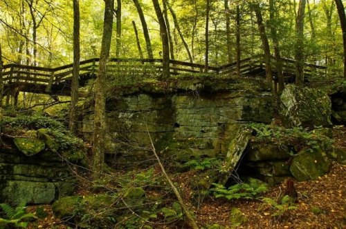 A wooden bridge crosses over a rocky area surrounded by lush green trees and ferns in a forested landscape.