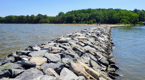 A rocky jetty extends into a calm river, surrounded by green trees under a clear blue sky.