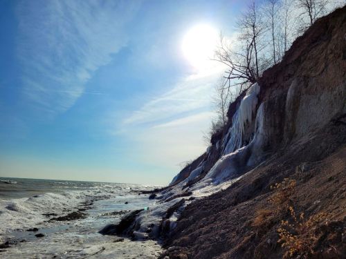 A sunlit shoreline with icy cliffs, frozen waves, and sparse trees against a clear blue sky.