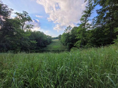 Lush green grass in the foreground, leading to a wooded area and a sunny hillside under a partly cloudy sky.