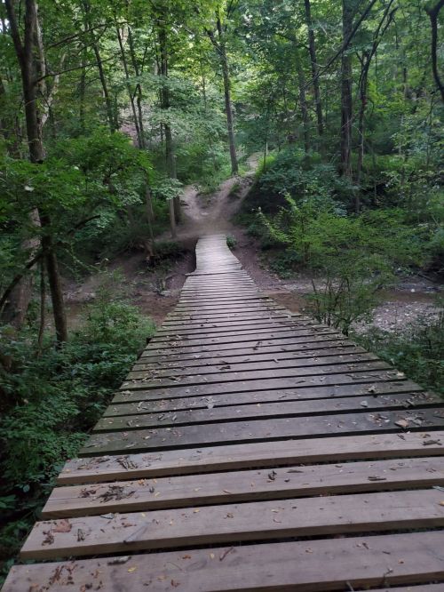 A wooden bridge leads through a lush green forest, surrounded by trees and foliage.