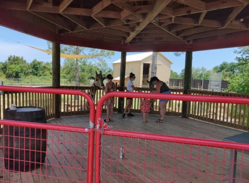 A group of people, including children, interact in a wooden pavilion with a fenced area and a barn in the background.