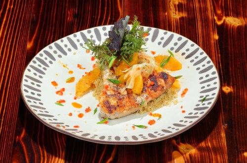 Grilled salmon on a bed of quinoa, garnished with citrus slices and fresh herbs, served on a decorative plate.