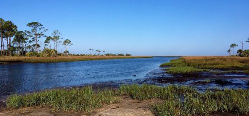 A serene landscape featuring a winding river surrounded by tall grasses and trees under a clear blue sky.