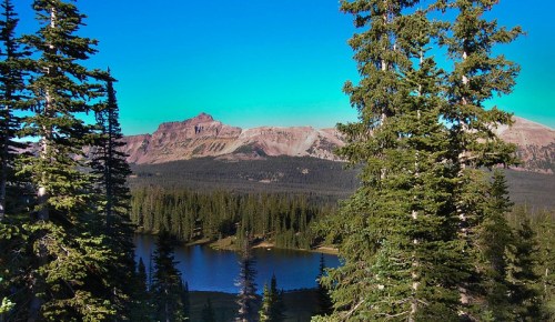 A serene landscape featuring a lake surrounded by tall pine trees and mountains under a clear blue sky.