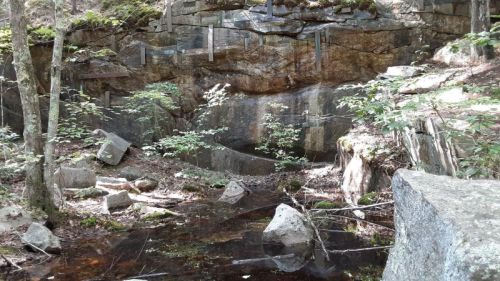 A rocky landscape with a small stream, surrounded by trees and moss-covered boulders.