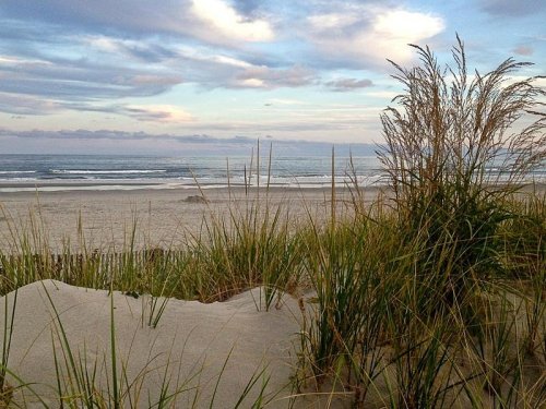 A serene beach scene with tall grass in the foreground, soft waves, and a cloudy sky in the background.