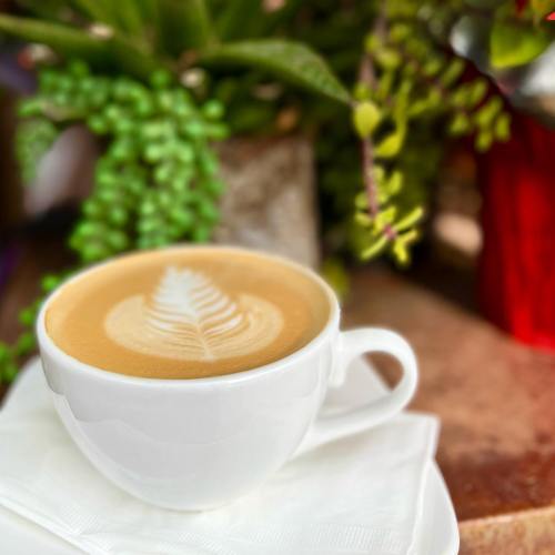 A white cup of coffee with latte art resembling a leaf, placed on a saucer near green plants.