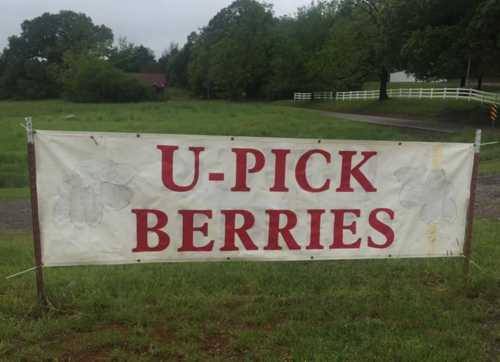 A large banner reading "U-Pick Berries" displayed in a grassy field with trees in the background.