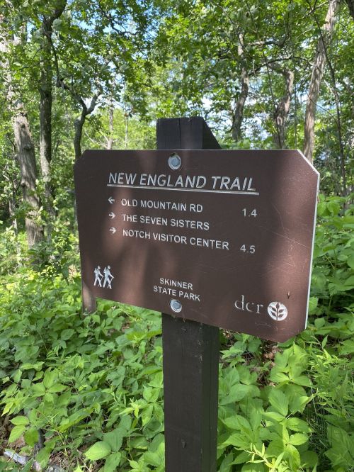 Signpost for the New England Trail with directions to Old Mountain Rd, The Seven Sisters, and Notch Visitor Center.