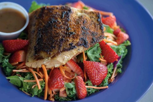 Grilled fish fillet atop a bed of mixed greens, carrots, and strawberries, served with a side of dressing.