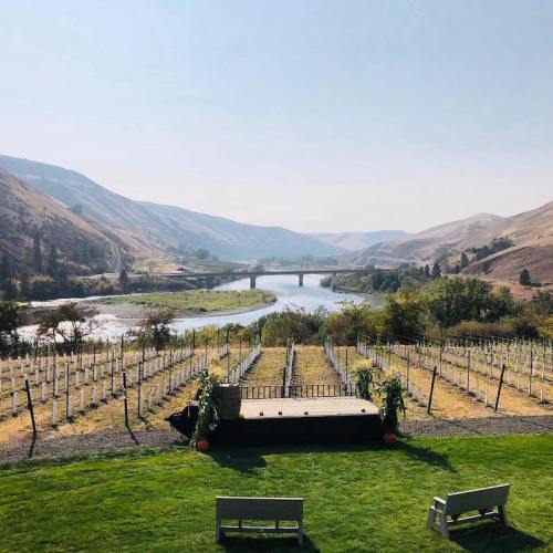 A scenic view of a vineyard overlooking a river and mountains under a clear blue sky.