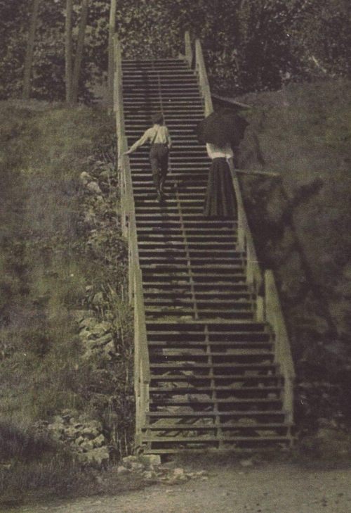 A man and woman ascend a wooden staircase surrounded by greenery, with the woman holding an umbrella.