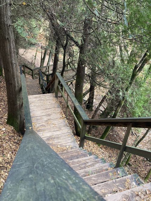 Wooden stairs winding down through a forest, surrounded by trees and fallen leaves.