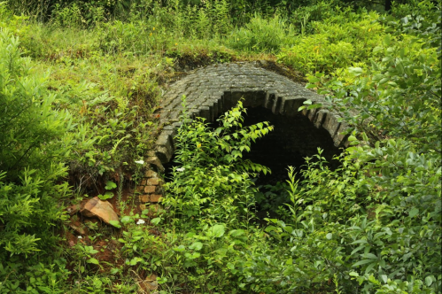 Overgrown stone archway partially hidden by lush green vegetation and plants.