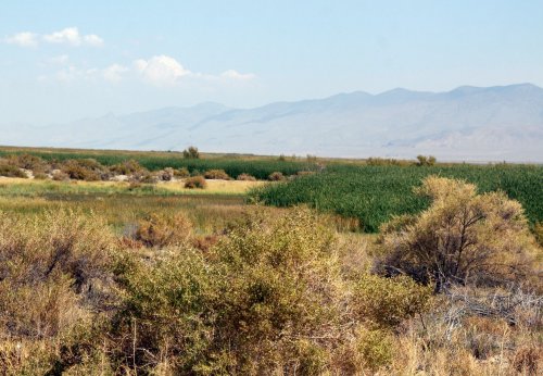 A scenic landscape featuring green vegetation, shrubs, and distant mountains under a clear blue sky.