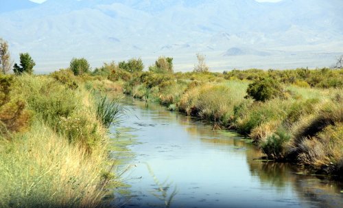 A serene river flows through lush greenery, with mountains visible in the background under a clear blue sky.