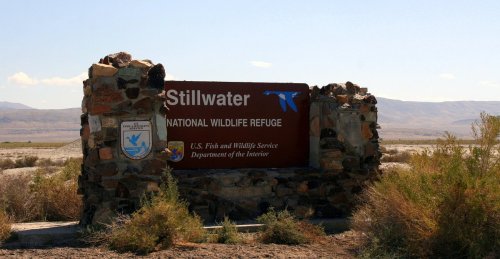 Sign for Stillwater National Wildlife Refuge, surrounded by rocks and vegetation, with a clear blue sky in the background.