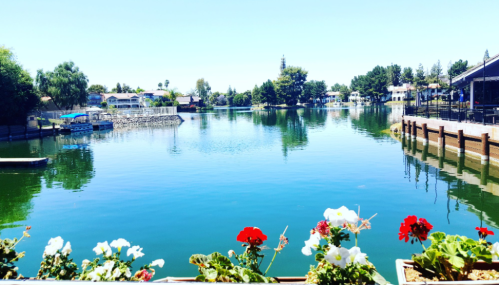 A serene lake view with colorful flowers in the foreground and trees and houses lining the shore under a clear blue sky.