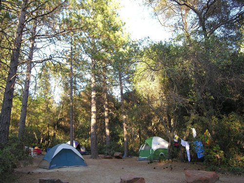A serene campsite with two tents surrounded by tall trees and hanging clothes in a lush, green forest.