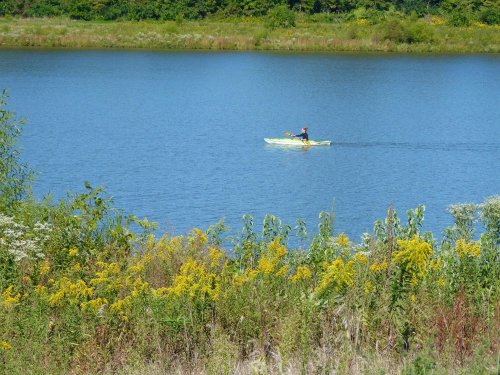 A person kayaking on a calm lake surrounded by lush greenery and wildflowers.
