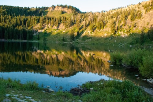 A serene lake reflecting lush green hills and trees under a clear sky, with rocky shores and gentle vegetation.