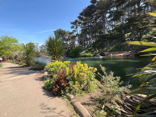 A serene pathway alongside a river, bordered by lush greenery and colorful flowers under a clear blue sky.