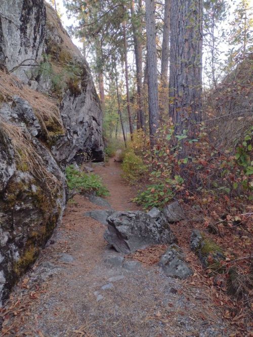 A narrow trail winds through a forest, flanked by large rocks and trees with autumn foliage.