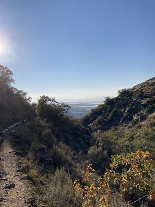 A scenic view of a trail winding through hills, with a clear sky and distant cityscape visible in the background.