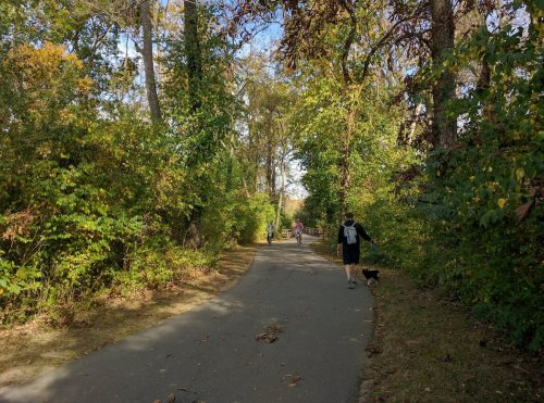 A scenic path surrounded by trees, with people walking and a dog on a leash.
