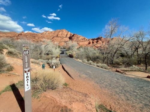 A winding trail leads through a desert landscape with red rock formations and sparse vegetation under a blue sky.