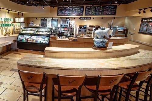 A cozy café interior featuring a curved counter, display case, and seating with a polar bear sculpture.