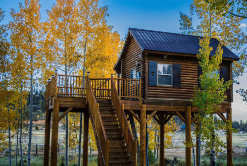 A wooden treehouse on stilts surrounded by vibrant autumn trees and a clear blue sky.