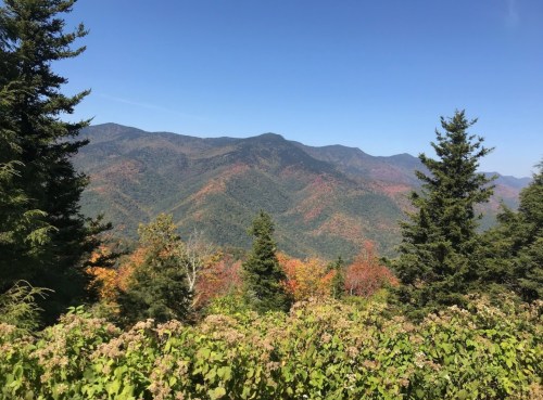 Scenic view of mountains with autumn foliage under a clear blue sky, framed by green trees in the foreground.