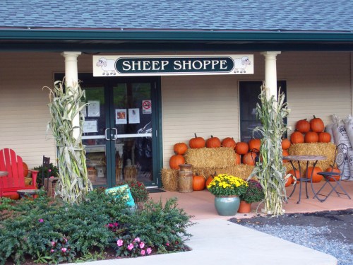 Entrance of a shop called "Sheep Shoppe," decorated with pumpkins, hay bales, and colorful flowers.