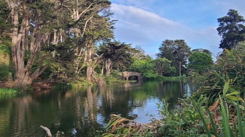 A serene river scene with lush trees and a stone bridge reflecting in the calm water under a blue sky.