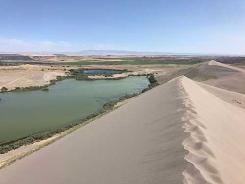 A sandy dune rises above a green oasis, with a river winding through the landscape under a clear blue sky.