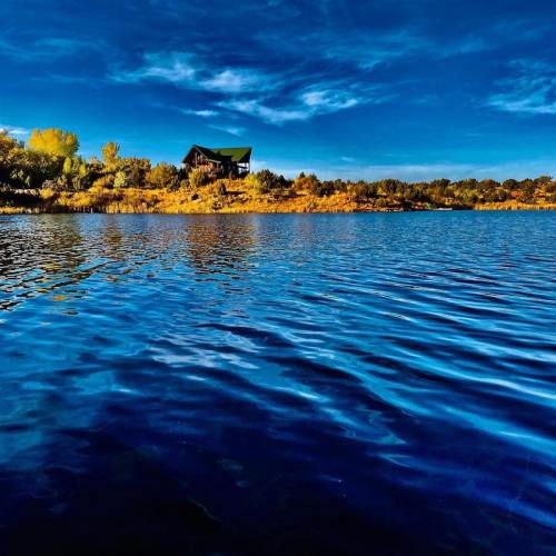A serene lake reflects a clear blue sky, with a cozy cabin nestled among trees on the shore.